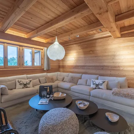 Skis Aux Pieds Avec Espace Bien-etre Et Vue Montagne - Fr-1-645-41 Chalet *